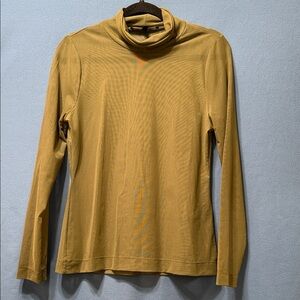 Green See Through Turtleneck Long Sleeve Top White House Black Market Size M